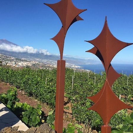 Finca Angelus Apartment Syrah With Amazing Views Ла-Матанса-де-Асентехо Экстерьер фото