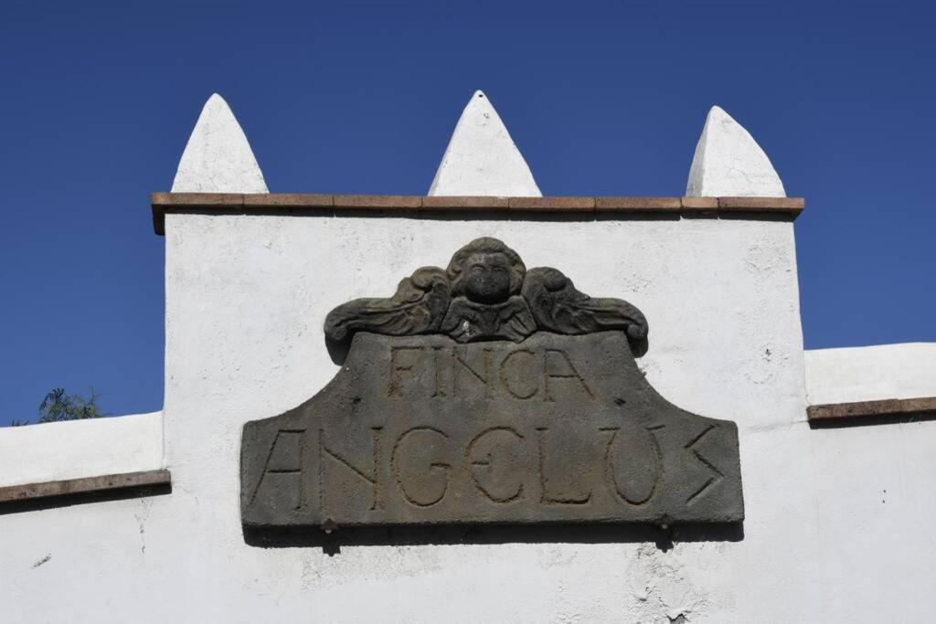 Finca Angelus Apartment Syrah With Amazing Views Ла-Матанса-де-Асентехо Экстерьер фото