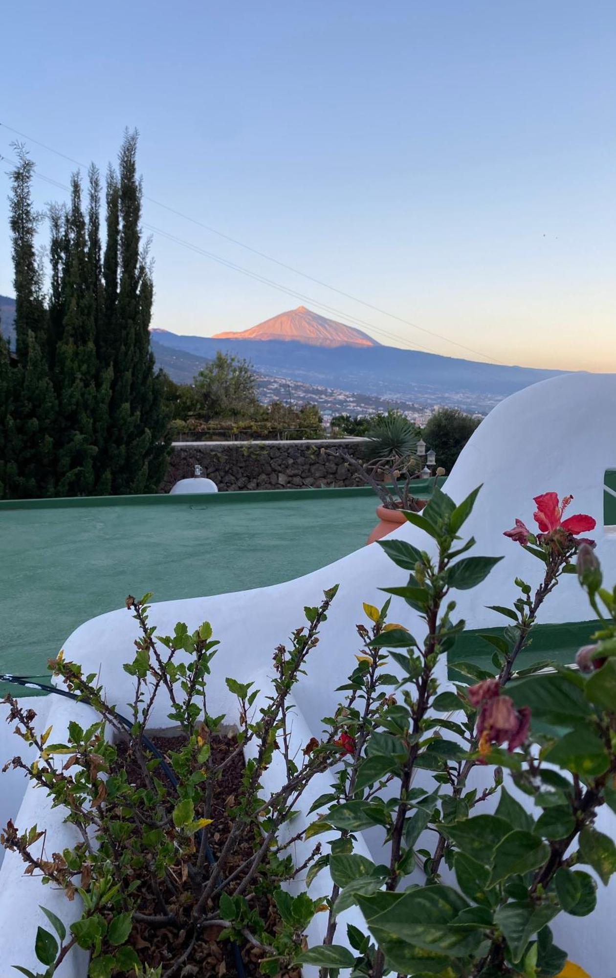 Finca Angelus Apartment Syrah With Amazing Views Ла-Матанса-де-Асентехо Экстерьер фото