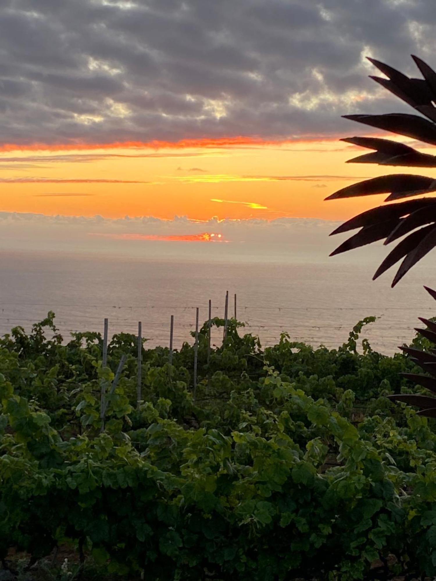 Finca Angelus Apartment Syrah With Amazing Views Ла-Матанса-де-Асентехо Экстерьер фото